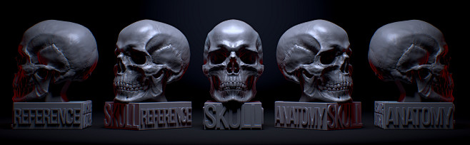 Anatomical manuals f...
