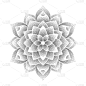 斑点,符号,形状,漩涡形,螺线,轮廓,白色,黑色,式样,花
