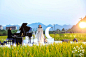 中国·临安：与稻田艺术相遇的国际文化交流盛宴