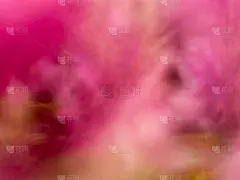 粉红色的背景