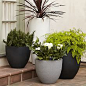 Round Planter