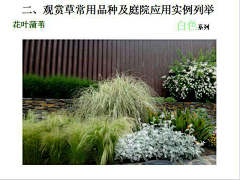蘑菇不开花不开花采集到B植物