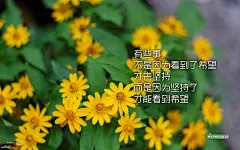 考研励志文字创意图片桌面壁纸