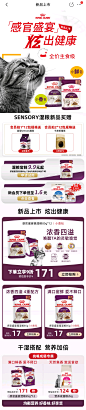 新品