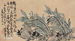 僊壹采集到清