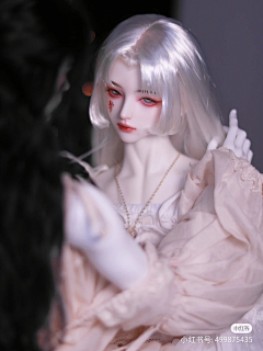 稀里糊涂小菜鸡采集到BJD