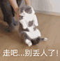 表情包