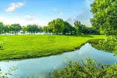 绿色,森林,派克大街,天空,美,水平画幅,云,无人,草坪,夏天