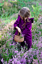 Little girl in the field of purple flowers