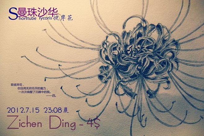 【手绘·曼珠沙华】致彼岸花，你且用无穷无...