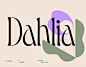 Dahlia Typeface