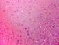 pink, stars, and glitter图片