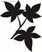 手绘黑色枫叶插画|矢量素材|手绘|矢量素材　矢量花朵|情人节矢量素材矢量图|矢量素材矢量罂粟花纹|矢量森林矢量素材