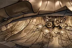 東方嶺南｜鳳凰于飛 - 小红书