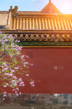 开心每一天哈采集到古建筑