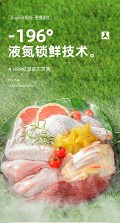 托托是托托托呀采集到宠物-详情页面