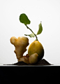 Pear, Concept Art, Stuffed Peppers, Organic, Ingredients, Vegetables, Fruit