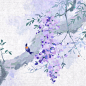 花 蔷薇 古风 氛围 春天 感觉 夏天 紫色 紫藤 鸟