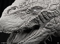 Naraku奈落子采集到Zbrush动物/怪物/人形怪参考