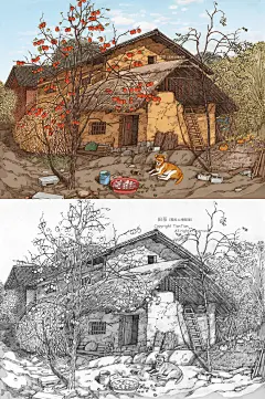 天冷了柿子也红了
老生常谈，这图先是在纸上画成黑白图那样，然后扫描到电脑里用PS上色。大家新年快乐！