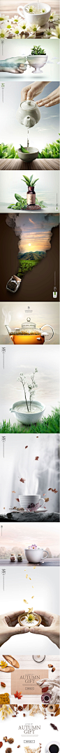 简洁清新绿色春季上新茶叶绿茶铁观音平面网页海报设计素材