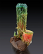 mineralists:

Stunning group of polychrome Elbaite crystals with Smoky uartz!@北坤人素材