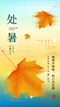 二十四节气处暑宣传海报