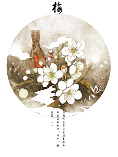 Airry采集到悠悠子矜
