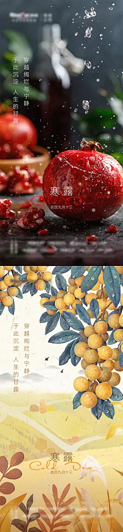 【素材能量站】海报 地产 二十四节气 寒露 白露  石榴 插画 |953322 