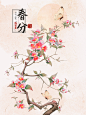 二十四节气｜花卉植物｜春夏_NiKiXi__插画师作品_涂鸦王国gracg.com