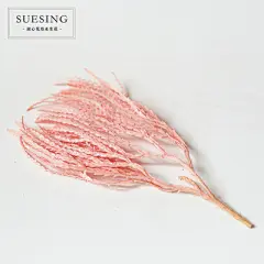 淑心花坊龙须草永生花DIY材料点缀配花配材礼盒玻璃罩插花搭配-淘宝网