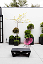 courtyard styling | pink chair, black low table, plantings | desire to inspire