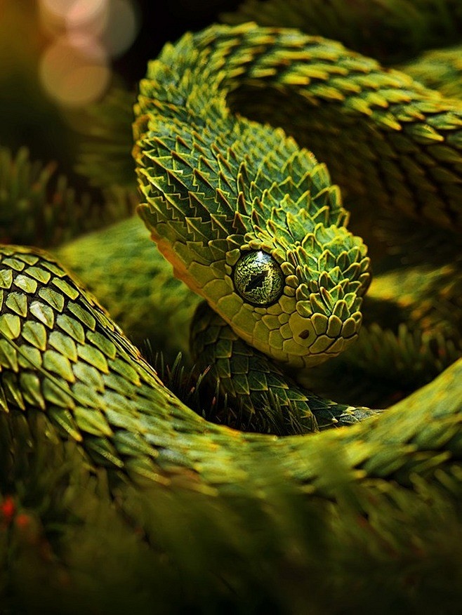 #蛇