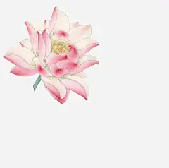 彩绘植物红色花朵绿色花蕊免抠素材 页面网页 平面电商 创意素材 png素材
