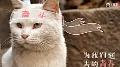 恶搞喵星人 可爱猫咪壁纸