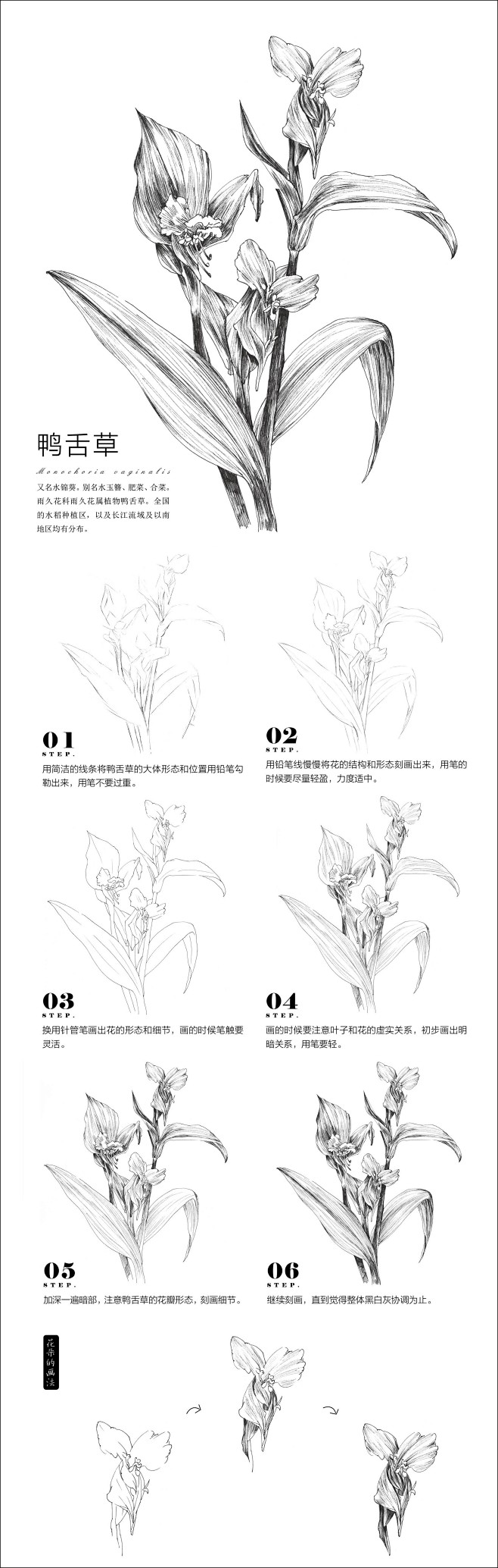 本案例摘自爱林文化主编、人民邮电出版社出...