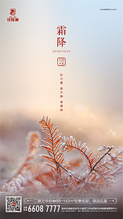 绚丽的烟火~~采集到霜降