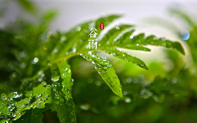 高清原图_太平洋电脑网