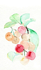 卡壳  的插画 花草小物