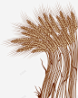 农作物麦穗创意图标 麦穗 麦穗图标 UI图标 设计图片 免费下载 页面网页 平面电商 创意素材