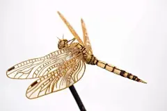 斋藤徳幸｜用竹子创造了一个昆虫世界_作品 : 斋藤德辛的作品几乎是按照1 / 1的比例创造。 斋藤德辛优先考虑昆虫的外观、特征，而不是最精准的比例，这样从视觉效果和细节特征上会给人更好的感受。 斋藤德幸认为：欣赏，是人的眼睛的…