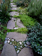 Stone Mosaic / garden path