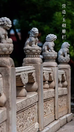 陆拾叁-辞采集到人间绝色