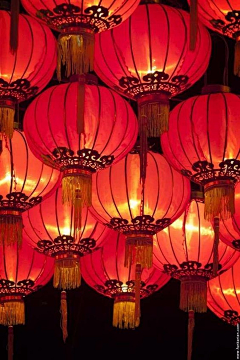 *茉莉——花采集到烈焰红