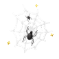 spiderweb