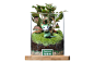 #依雯然# 苔藓生态瓶 苔藓微景观 玻璃植物 盆栽 教师节创意礼品 diy手工植物 绿色 植物 绿色清新 盆景 花盆 绿色植物 多肉植物

