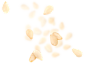 Ryvita | RYVITA® : Ryvita