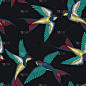 刺绣,鸟类,四方连续纹样,纺织品,矢量,时尚,燕子,自然美,贴花,蜂鸟