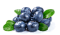 蓝莓 _ 微海汇 #水果 #