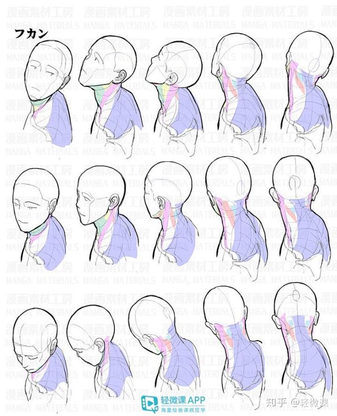 【绘画素材】不会画人体？这100张高清素...